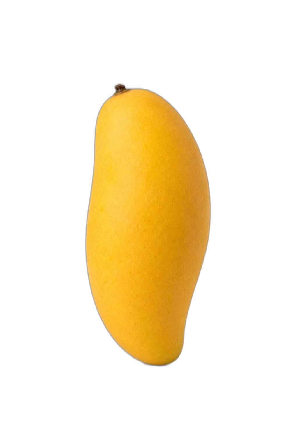 Mango variedad Ataulfo cultivado en Vélez-Málaga